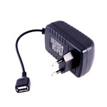 Адаптер сетевой/зарядное устройство с USB вых. 5V 2,0A YW050V020USB