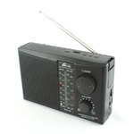 Радиоприёмник RITMIX RPR-195, 220V/2хR20(D), 64-108 МГц, 3,2-22,0 МГц, 53-1600кГц, USB, SD карта