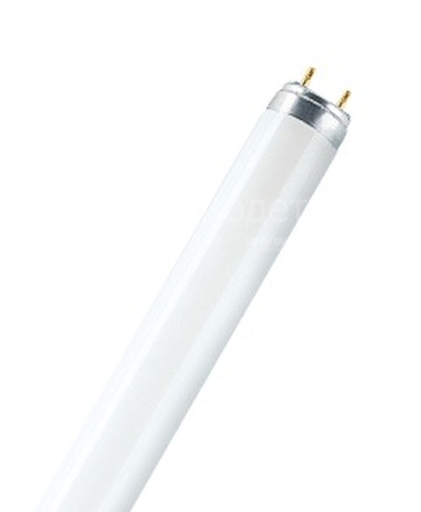 Лампа T8 G13 36W/640 L=1200mm холодный белый OSRAM
